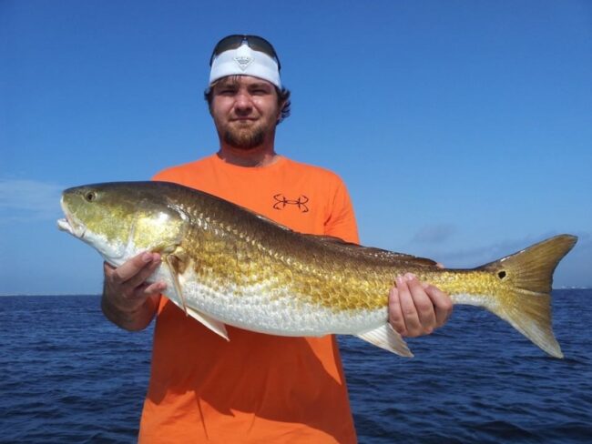 10268406_748470965192448_1485860888002686947_n