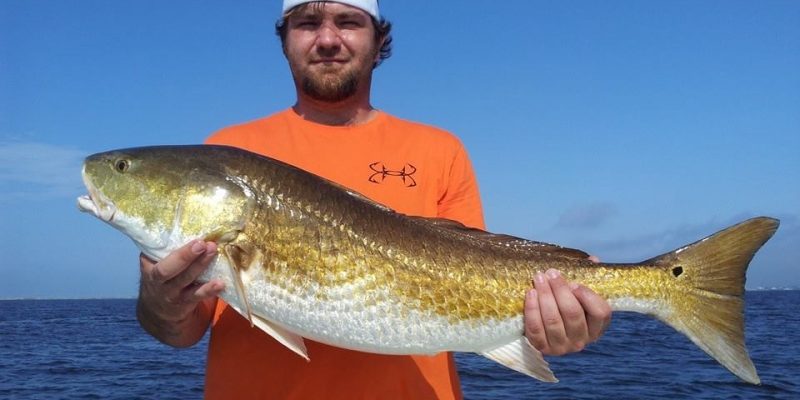 10268406_748470965192448_1485860888002686947_n