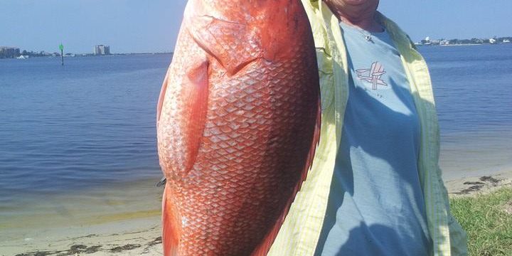 10505564_771256272913917_4959150255062746928_n