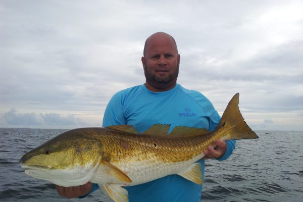 Gulf-Shores-redfish-guide-22