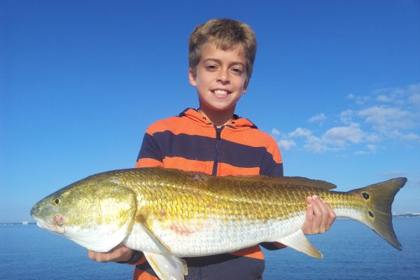 Gulf-Shores-redfish-guide-37