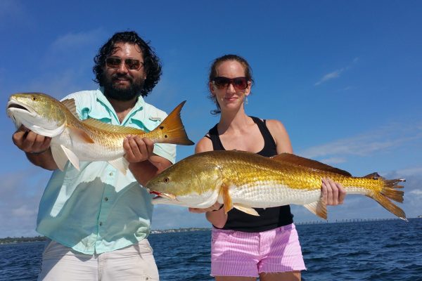 Gulf-Shores-redfish-guide-48