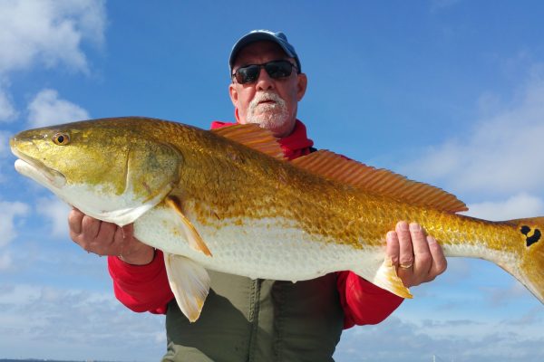 Gulf-Shores-redfish-guide-71