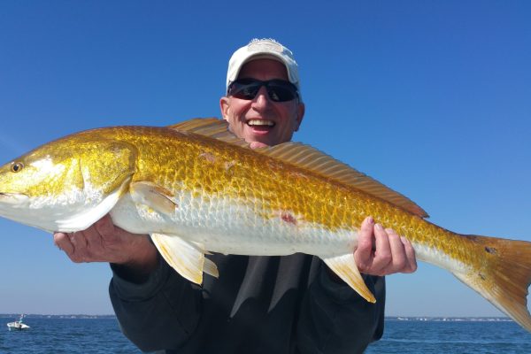 Gulf-Shores-redfish-guide-96
